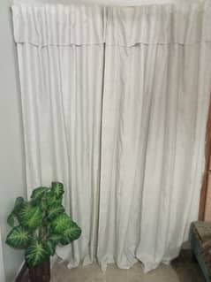 curtain