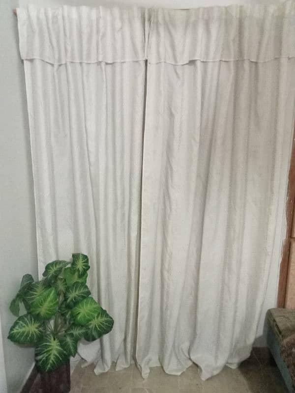 curtain 0