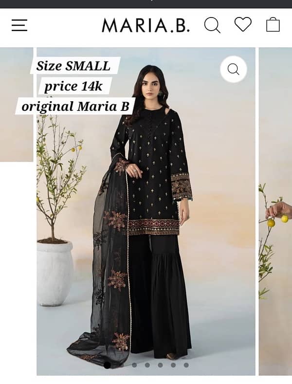 branded dresses of Ethnic and Maria. B 2