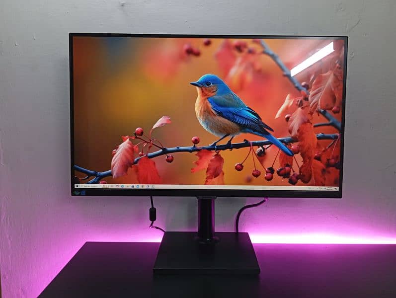 SAMSUNG S60UA Series 27-Inch  WQHD Monitor 75Hz IPS Panel, USB-TYPEC 5