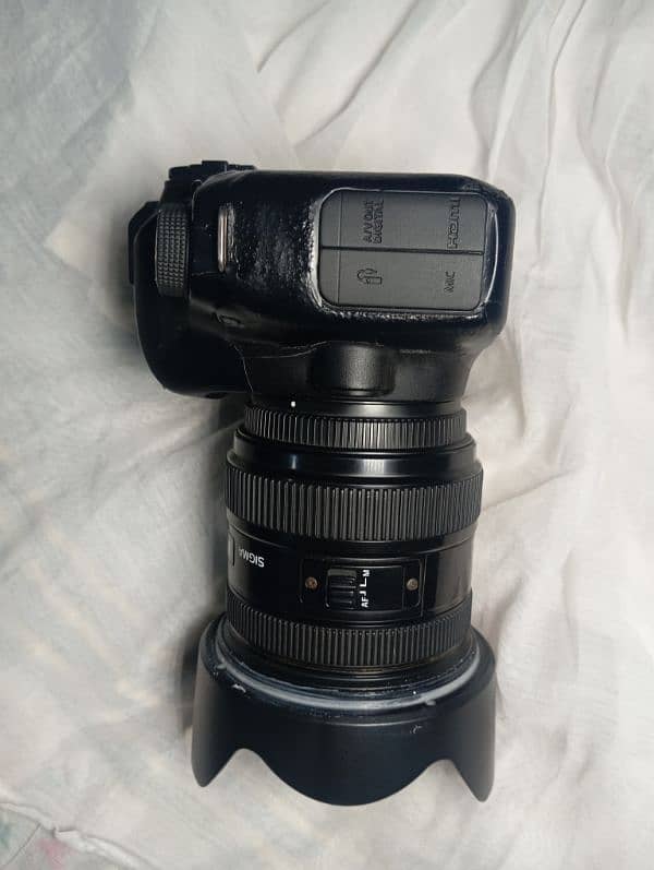 Canon 6D With Sigma DG HSM 24-70mm f 2.8 Lens EX 6