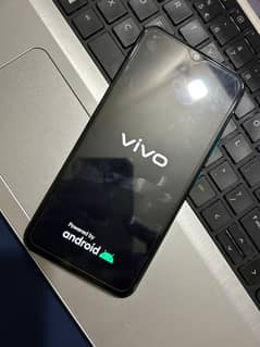 Vivo