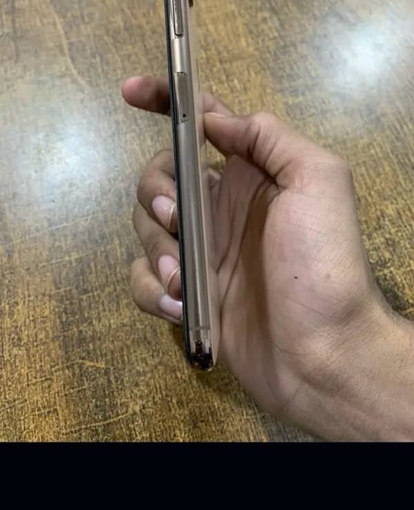 xs max pta approved 3