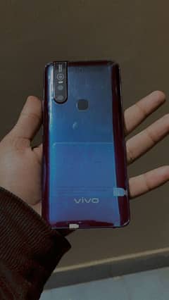 VIVO v15