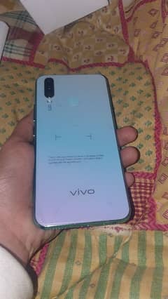 vivo