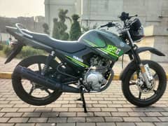 YAMAHA YBR G 2023