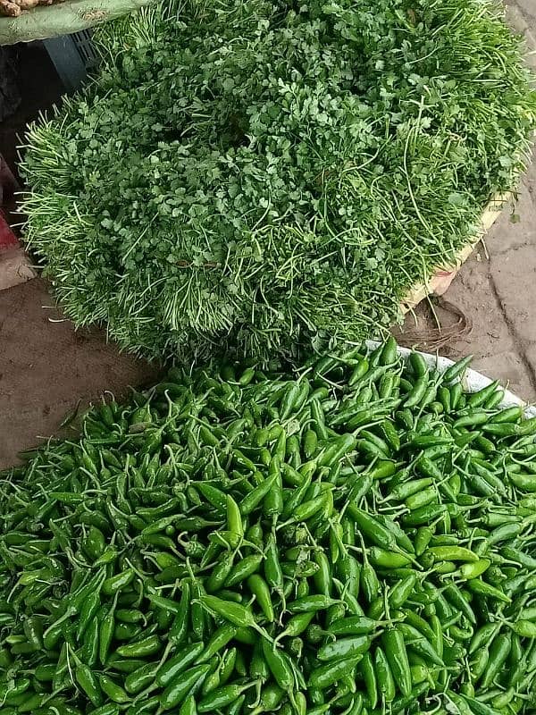 fresh vegetables available contact me on Instagram [faizan0090000] 2