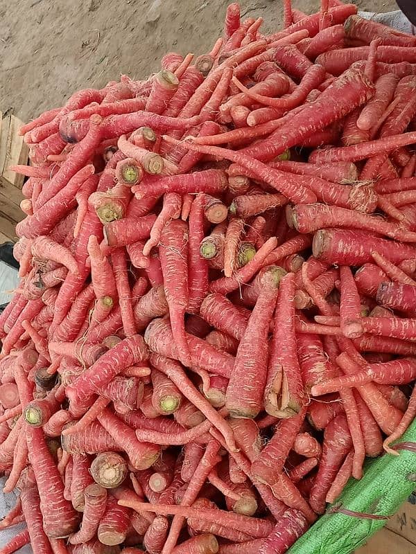 fresh vegetables available contact me on Instagram [faizan0090000] 4