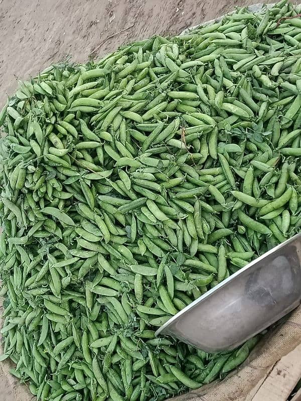 fresh vegetables available contact me on Instagram [faizan0090000] 5