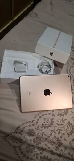 ipad mini 5 golden peice