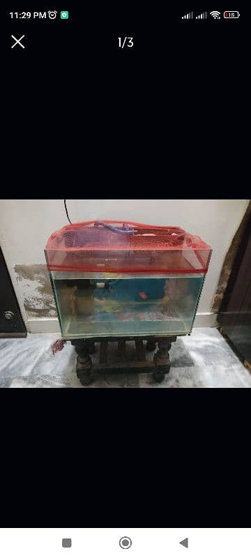 Aquarium + Fishes for sale 3