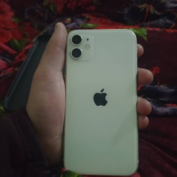 iPhone 11 0