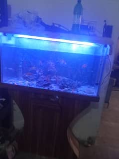 fish aquarium for sell