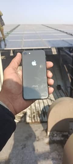 I phone 8(256)(pta approved )