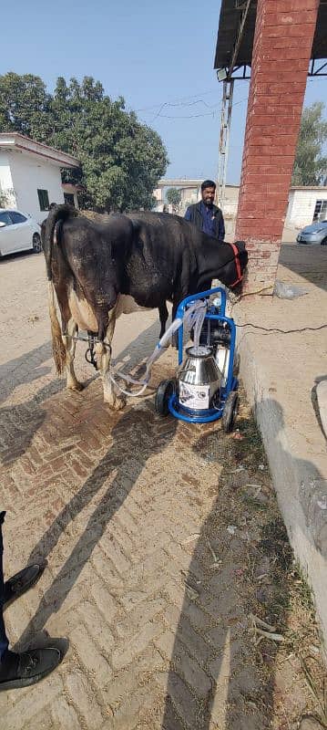 Turkish Milking Machines 1