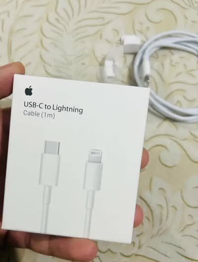 iPhone original Cable