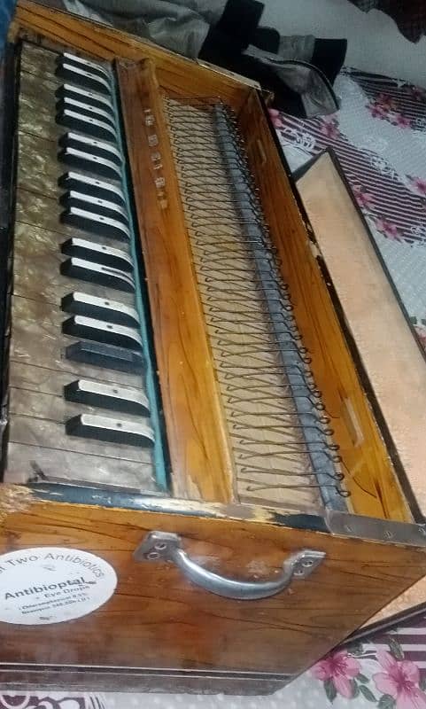 Harmonium Body Without Reads 1