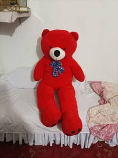 teddy