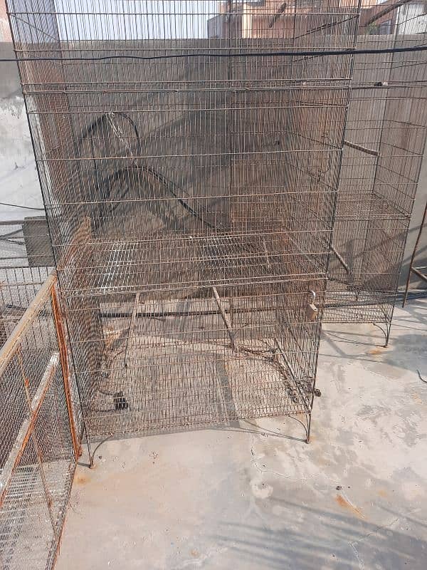 Raw and Ringneck cages and boxs for sale. 0