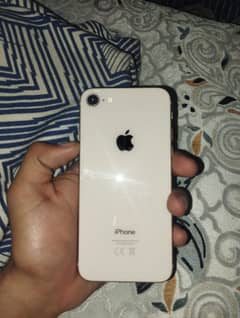 iPhone 8 (WaterPack)(256 GB)