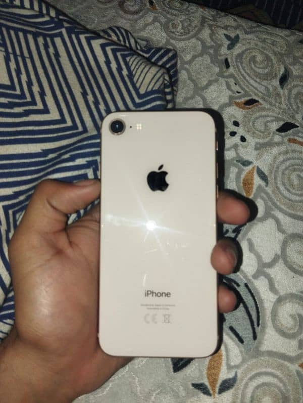 iPhone 8 (WaterPack)(256 GB) 0