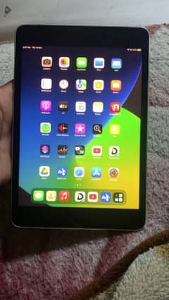 ipad mini 4     128gb