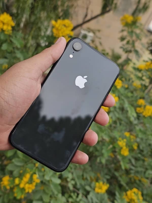 iphone xr waterpack 0