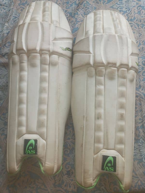 cricket equipment 4