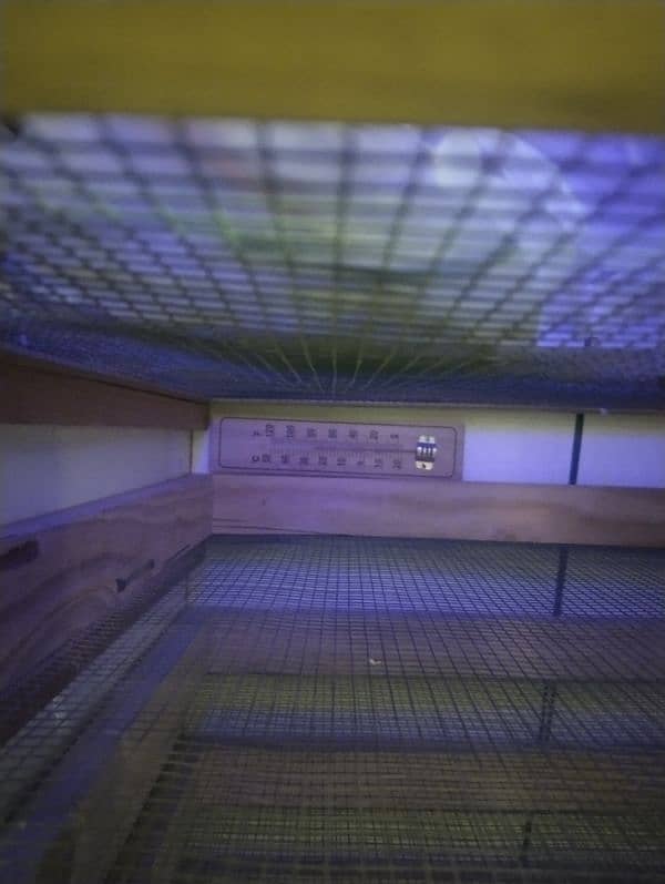 850 Eggs Semi-Automatic Incubator 5