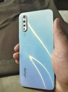 vivo