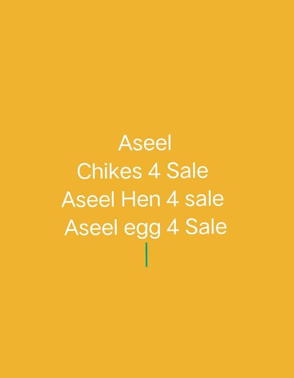 Aseel Chikes Sale 2