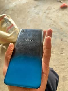 Vivo