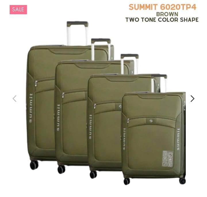 Luggage Bags Travelling Bags Suit Case/Summit 2