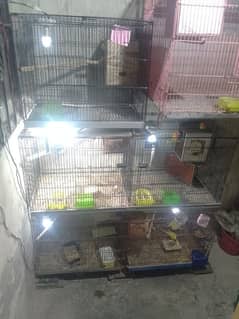 total 5 pair hai or 5 cage