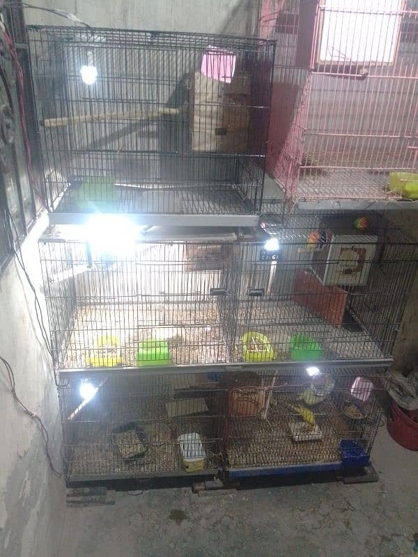 total 5 pair hai or 5 cage 2