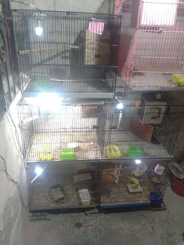 total 5 pair hai or 5 cage 4