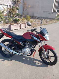 YAMAHA YBR 125 FOR SALE 2024 MODEL