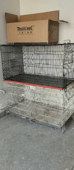 cage parrot fos sale