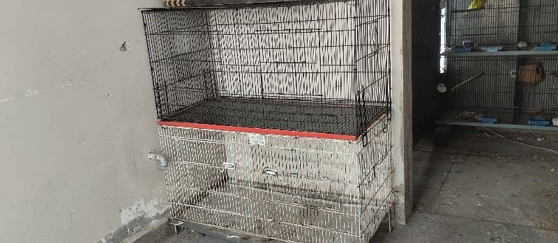 cage parrot fos sale 1