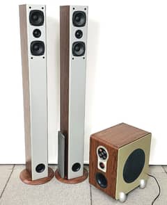 CAV 2.1CH active home theater system SW260