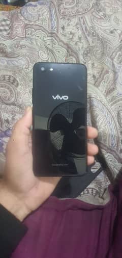 vivo