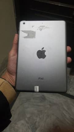 iPad Mini 2