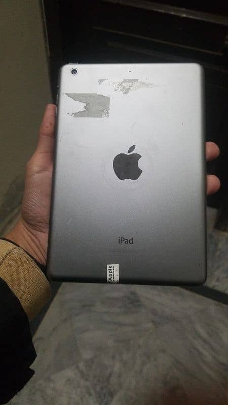 iPad Mini 2 0