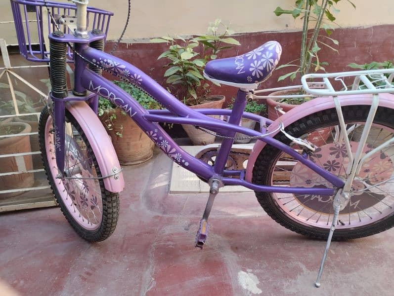 girls bicycle 3