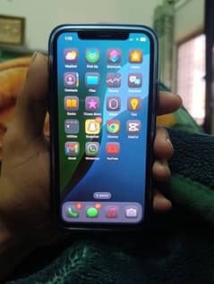 iPhone 11 pro only panel