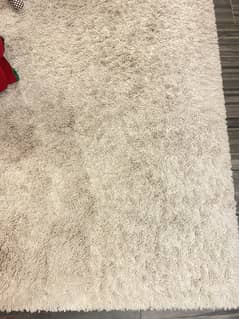 Large shaggy carpet