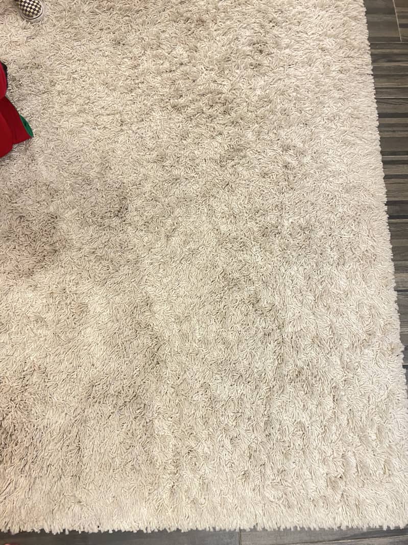 Large shaggy carpet 0