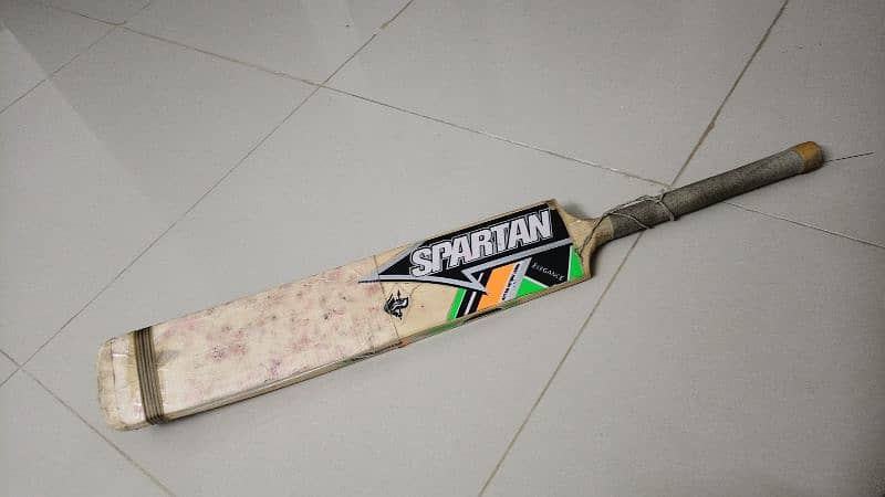 spartan bat English willow wood 0