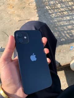 iphone 12 non pta fu