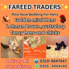 golden misri | lohman brown | rice husk | hens | chicks | read ad